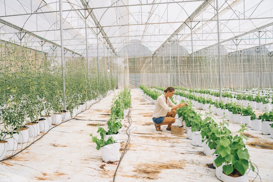 Innovations in HVAC for Sustainable Living