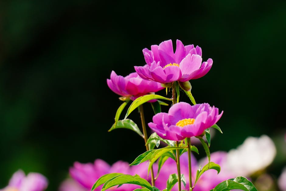 Tips for Greener Landscaping and Savings