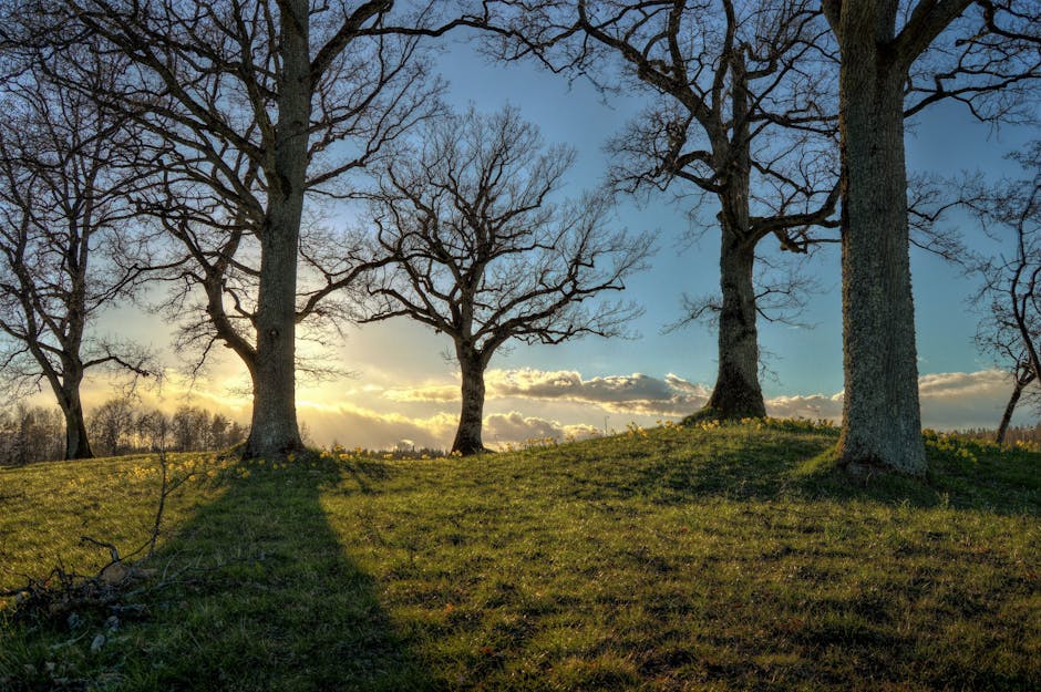 Tips for Greener Landscaping and Savings