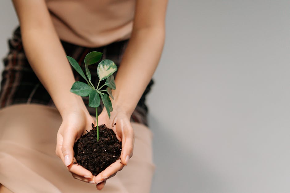 Tips for Greener Landscaping and Savings